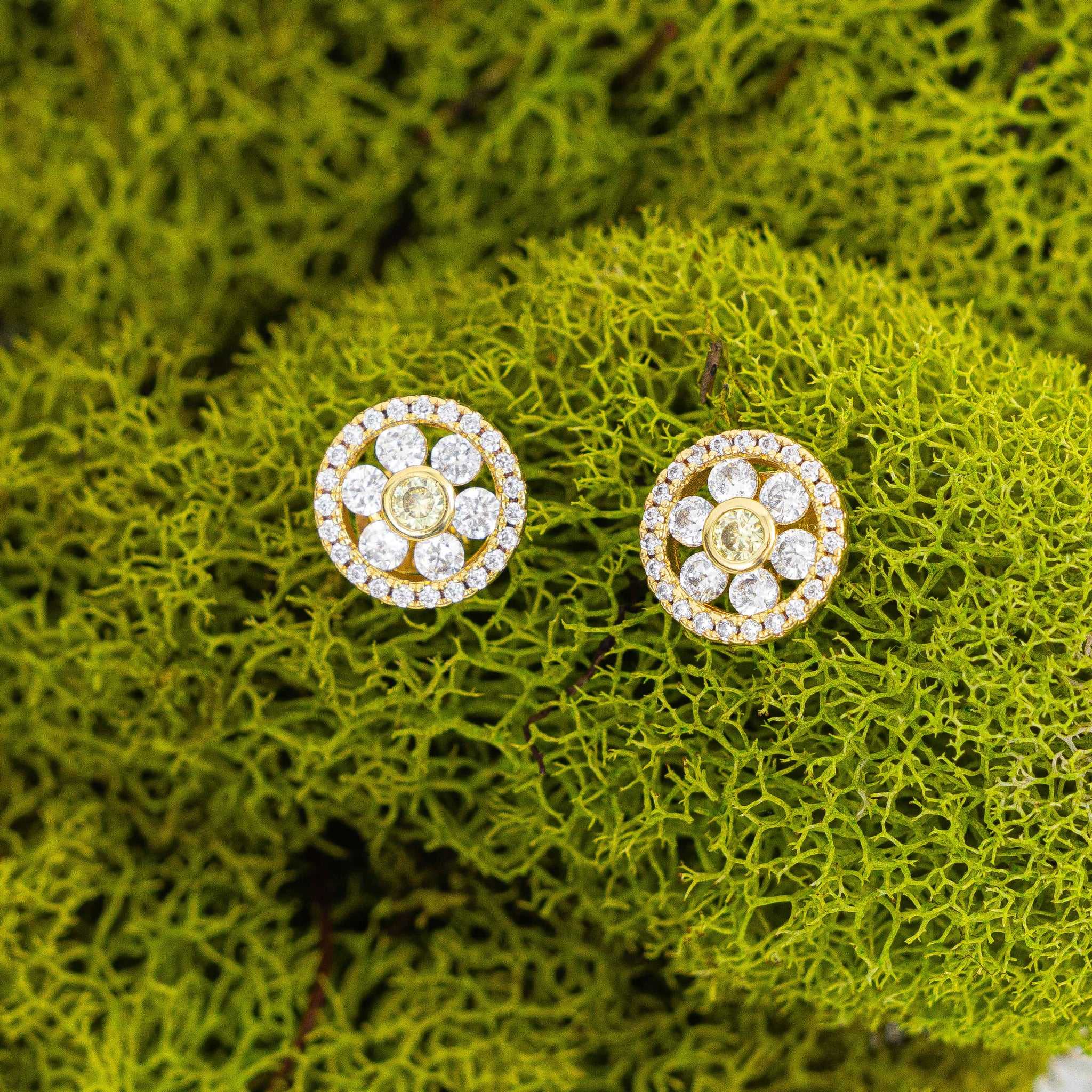The Happily Eva After Collection Daisy Studs on moss